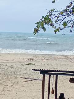 Calm water retreat - Alleppey - 8
