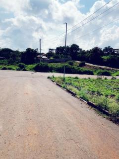Molly stay - Nairobi - 1