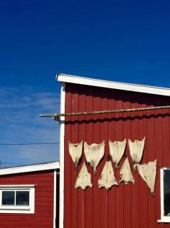 Red Cottage By The Sea In Laukvika - Laukvik - 8