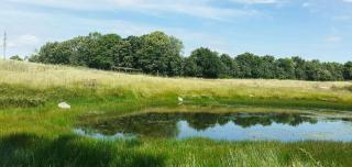 Idyllic Thatched On The Ridge Between Sea Areas - Ebbeløkke - 5