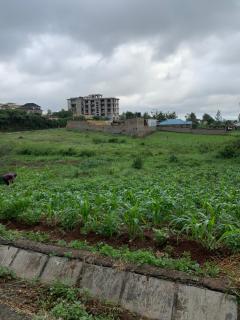 Serenity - Nairobi - 9