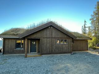 Modern Cabin With Beautiful Design By Gålåvatn - 7