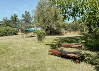 Secluded Holiday Home With Garden - - 9