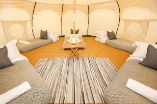 Tosontsengel Glamping Tents - 6