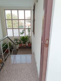 The Homely Stay - Jaipur - 8