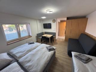 Apartmán za Humny - Znojmo - 8