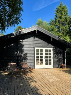 Fine Details In Forest Setting In Ebeltoft - 8