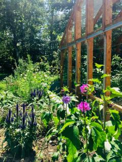 Bright Place With Orangery Near Hyllested Hills - Ebeltoft - 7