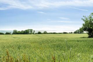 Enjoy Nature In A Thatched Annex From 1860 - Frørup - 8