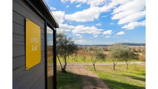 Rae at Lake George Winery by Tiny Away - 9