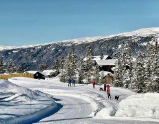 Modern Mountain Cabin In Gaustatoppen Nature Park - Rjukan - 6