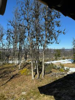 Timber Cabin With Views Over Golsfjellet - 8