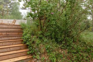 Original Home Embraced By Nature - 7