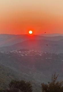 שירת הר - Gilon - 7