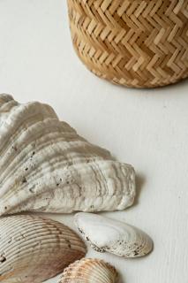 Family Reunites For Beach Trips In Tisvilde Hegn - Vejby - 9