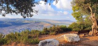 שירת הר - Gilon - 1