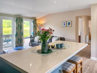 Ridge View Lodge - Uk49924 - Dumfries - 4