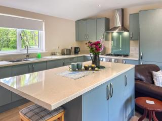 Ridge View Lodge - Uk49924 - Dumfries - 3