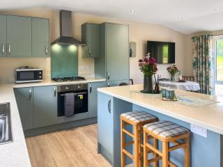 Ridge View Lodge - Uk49924 - Dumfries - 2