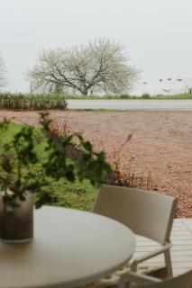 Coastal Holiday Home By Laholmsbukten - Båstad - 6