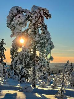 Family-Friendly Log Cabin With Panoramic View - Østby - 8