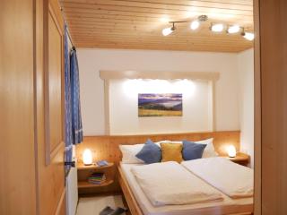 Apartmenthaus Thussn, cozy & quiet location, hiking & MTB, - Kirchberg in Tirol - 9