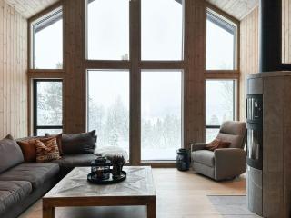 Modern Mountain Home At Nerskogen, Trollheimen - 2
