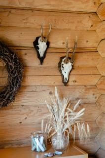 Authentic Log House Amid Evergreens In Vendsyssel - Fjerritslev - 6