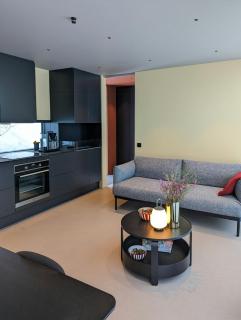Modern Cabin By Snøhetta At Blefjell - Svene - 8