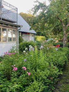 Timber-Framed House With Organic Farm In Nature - 9