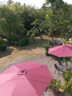 Dito House - 9