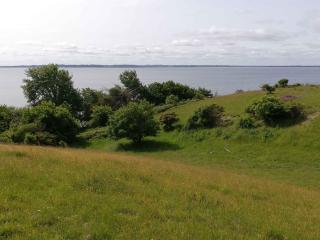Holiday Home With Stunning View - Farsø - 4