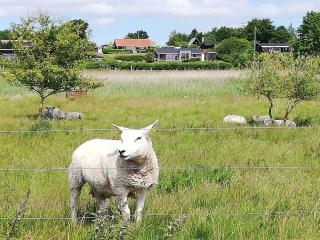 Holiday Home With Stunning View - Farsø - 2
