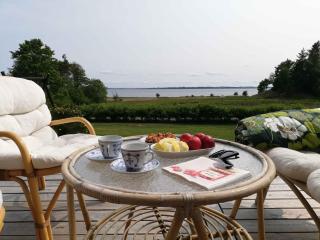 Holiday Home With Stunning View - Farsø - 1