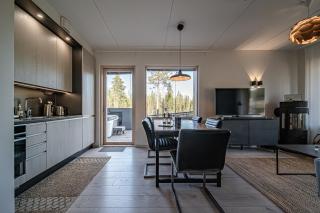 Tunturinlaita D1 by Aavalevi Holidays, Ski-in Ski-out - Levi - 1