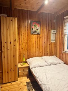 Domek na Kaszubach Gwizdówce - Skrzeszewo - 7