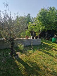 Casa Larisa - Bîrsău - 3
