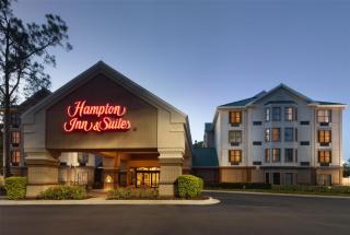 Hampton Inn & Suites Tampa-North - Tampa - 7