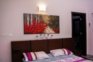 4 Acre 3BHK Defence Raya Farmhouse - 6