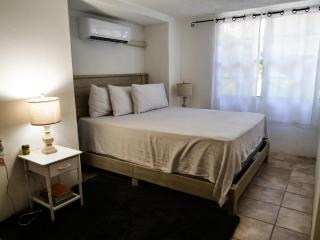 Villa Spinoza- Lux Pool, Garden, Retreat & Beach - 6