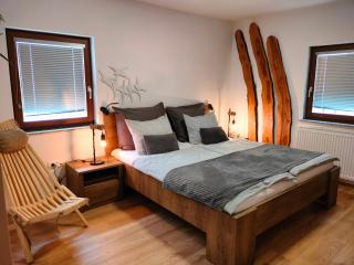 Apartmaji pri Dravi - 1