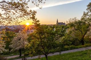 Sunset & Bloom Attic - Near parks & cafés - Prag - 4