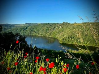 Ô fil 2 l'eau - Le GITE en bord de LOIRE - Saint-Jean-Saint-Maurice-sur-Loire - 9