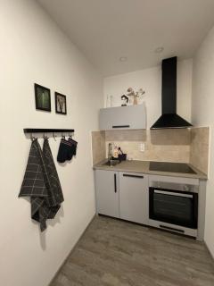 Comfortable apartments under the St. Barbara´s Cathedral - Kutná Hora - 5