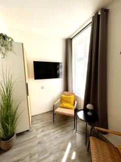 Comfortable apartments under the St. Barbara´s Cathedral - Kutná Hora - 2