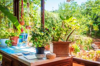 Villa Gaia - Portoferraio - 9