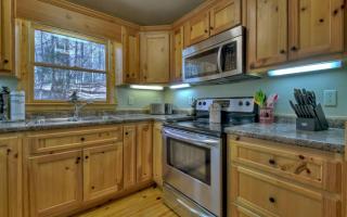 Harleys River Retreat - Pet-friendly hot tub - Ellijay - 1