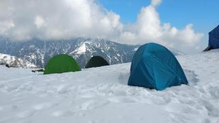 Triund trek and camping - Dharamshala - 8
