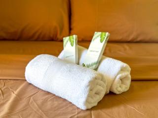 Cozy Condo with Netflix, Pool & Garden, Walk to Spas - Manila - 2