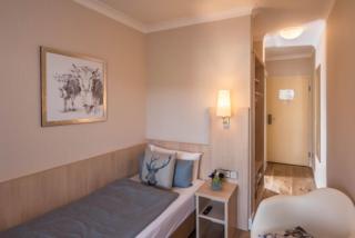 Ammersee-Hotel - Herrsching am Ammersee - 9